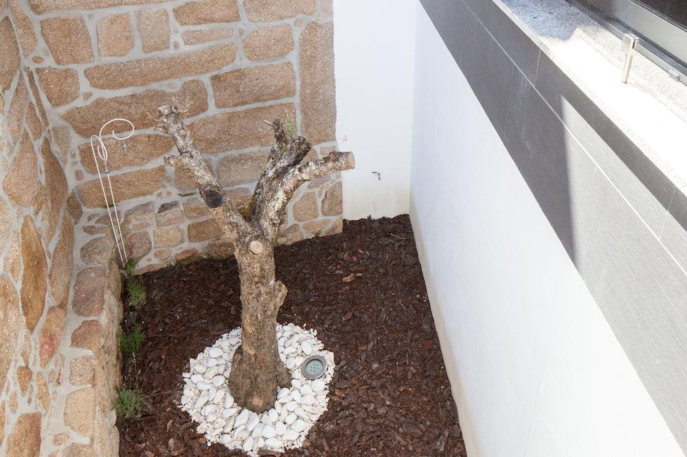 Casas Do Patio Country Houses & Nature Caldas da Felgueira Dış mekan fotoğraf