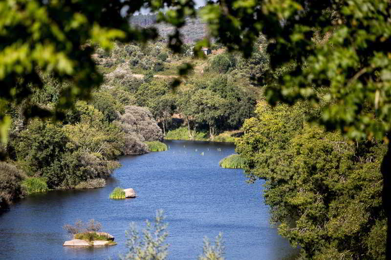 Casas Do Patio Country Houses & Nature Caldas da Felgueira Dış mekan fotoğraf